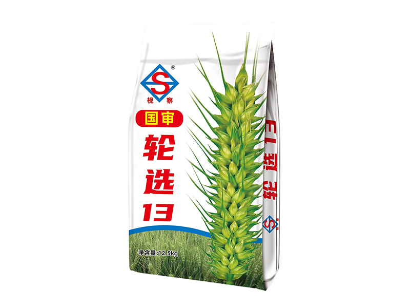 轮选13